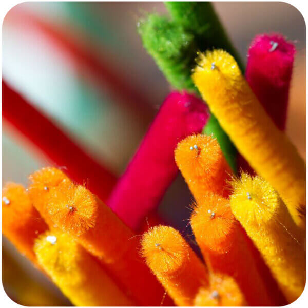 Limpia Pipas / Chenille Mate 12 PZAS