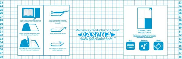 Mica Transfer Curvas