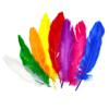 Pa Pluma20 Sur Portada